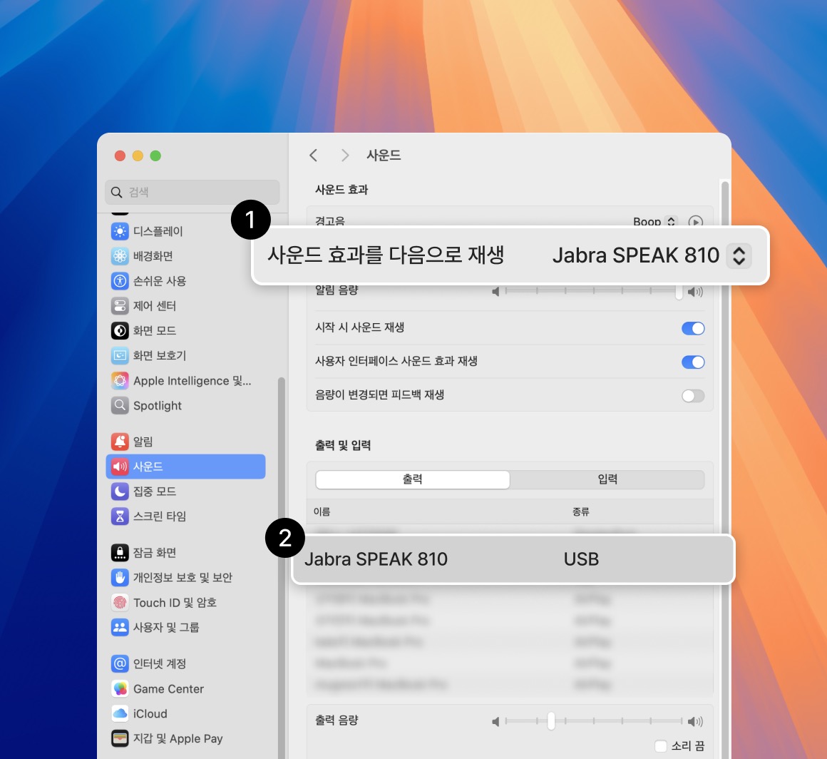 스피커 출력/입력 설정 확인